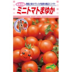 画像1: 松永交配 ミニトマト まゆか
