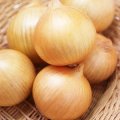 松永育成 つり玉