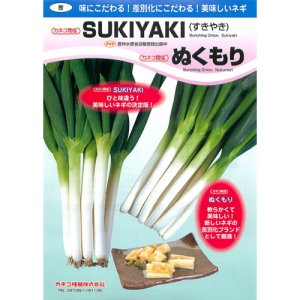 画像: カネコ育成　SUKIYAKI