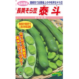 画像: 松永育成 泰斗蚕豆