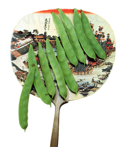 画像1: つるありカルナ菜豆