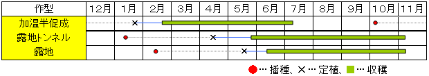 画像: 小林交配 殿様茄子